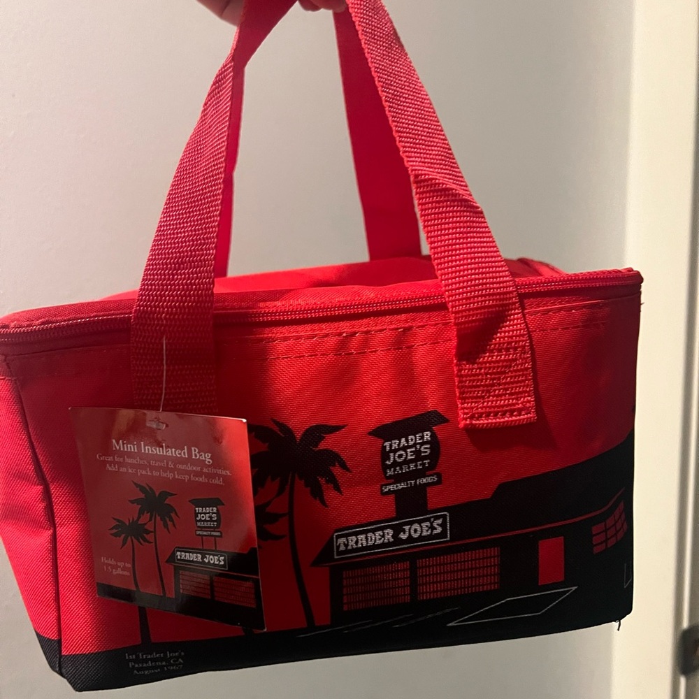 Trader Joe’s Insulated Bag